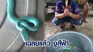 ชาวบ้านตกใจพบ งูประหลาด ตัวสีฟ้า
