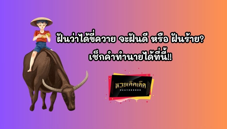 ฝันว่าได้ขี่ควาย