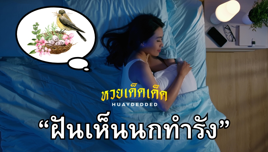 ฝันเห็นนกทำรัง ทำนายฝันแม่นๆ ความหมาย และ เลขเด็ดฝัน