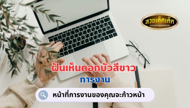 ฝันเห็นดอกบัวสีขาว คำทำนายฝัน เรื่องงาน