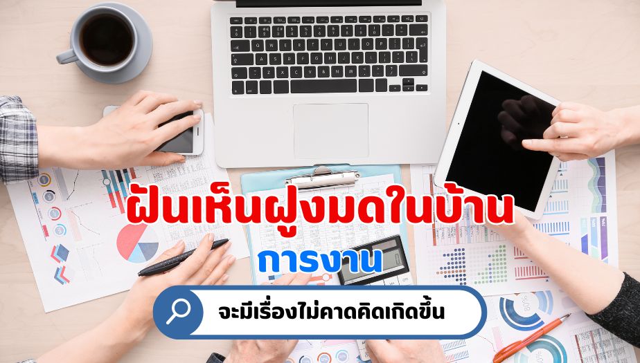 ฝันเห็นฝูงมดในบ้าน ความหมายของความฝัน เรื่องงาน