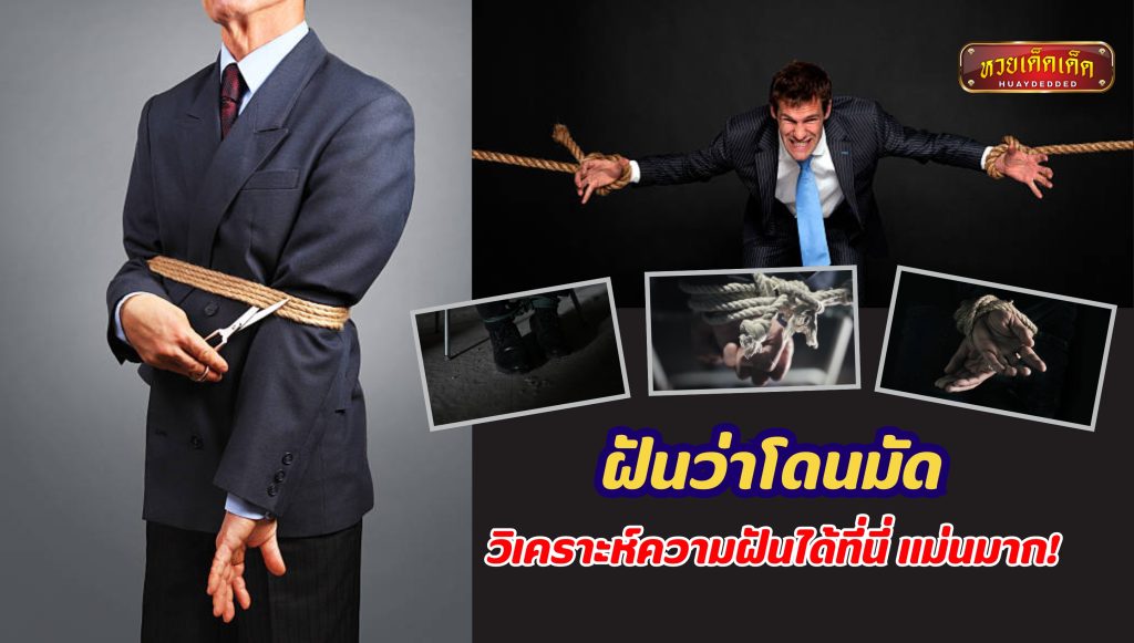 ฝันว่าโดนมัด วิเคราะห์ความฝันได้ที่นี่ แม่นมาก