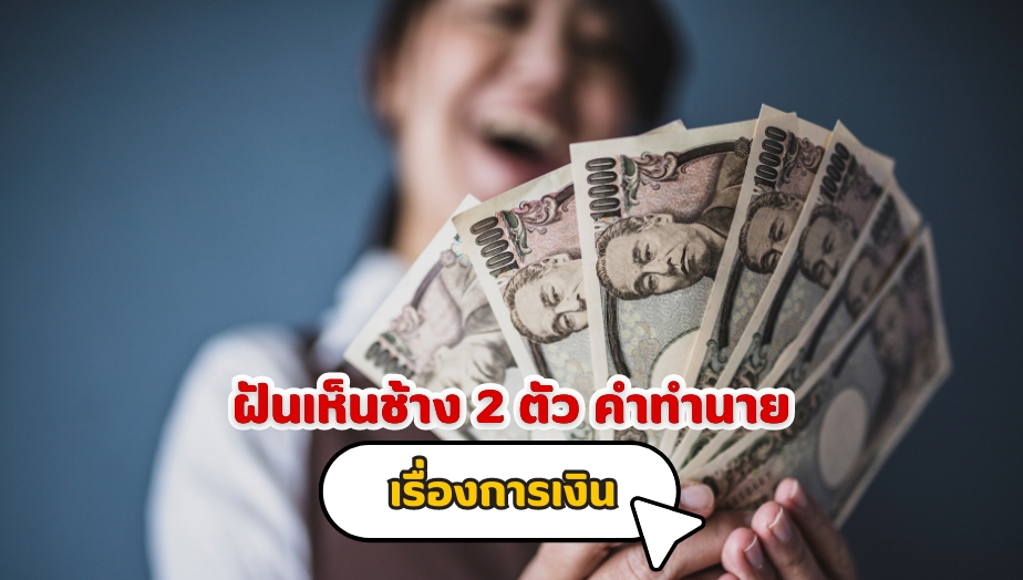 ฝันเห็นช้าง 2 ตัว คำทำนายเรื่องเงิน