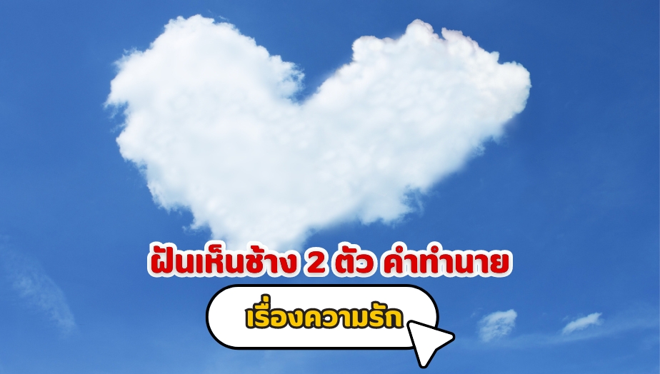 ฝันเห็นช้าง 2 ตัว