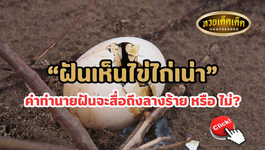 ฝันเห็นไข่ไก่เน่า ทำนายฝันครั้งนี้ สื่อถึงลางร้าย หรือ ไม่? มาเช็กกัน