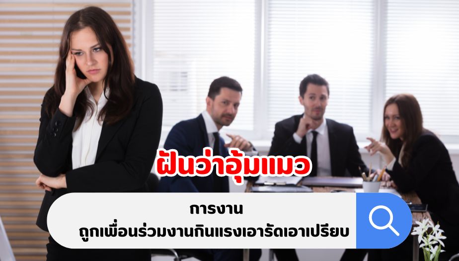 ฝันว่าอุ้มแมว คำทำนายฝัน เรื่องงาน