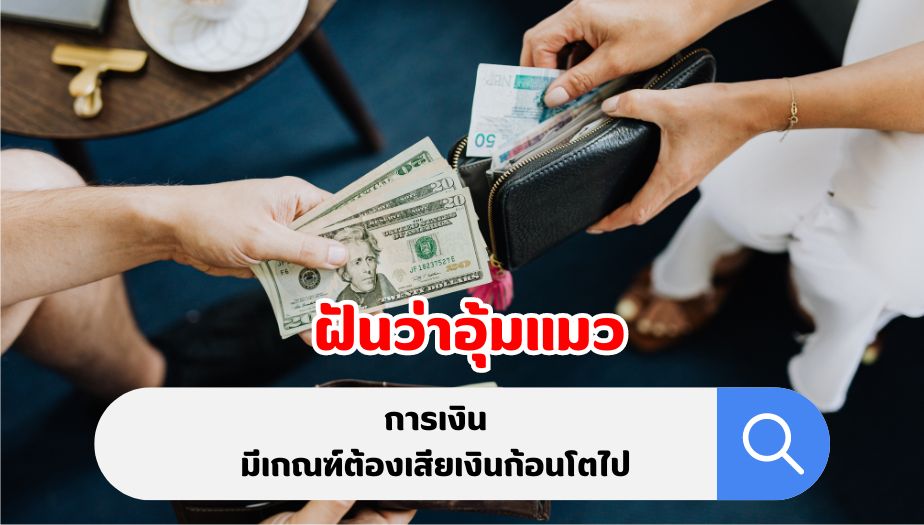 ฝันว่าอุ้มแมว คำทำนายฝัน เรื่องเงิน