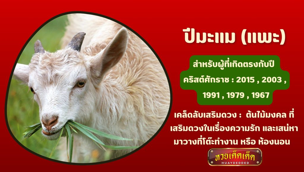 เคล็ดลับเสริมดวง ปีมะแม ดังนี้