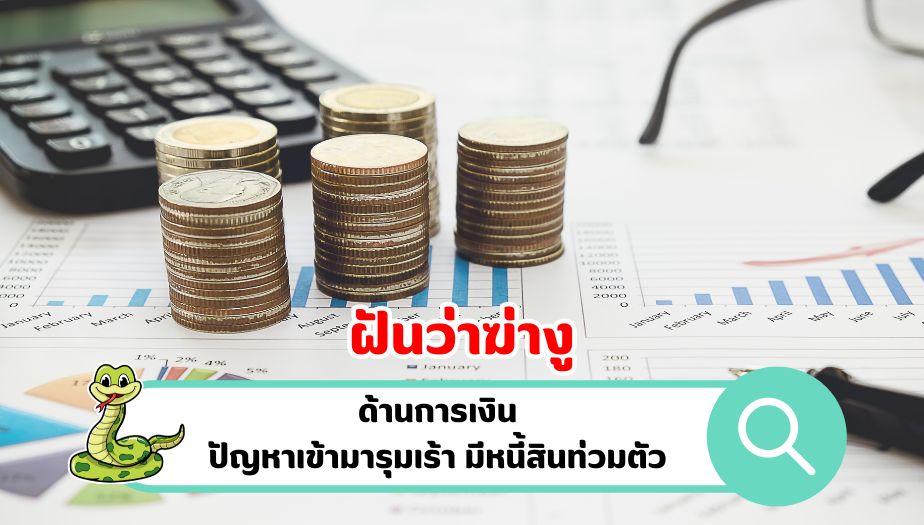 ฝันว่าฆ่างู คำทำนายฝัน เรื่องเงิน