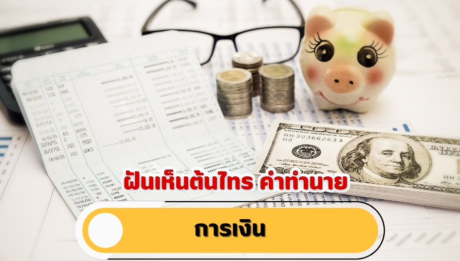 ฝันเห็นต้นไทร คำทำนายเรื่องเงิน