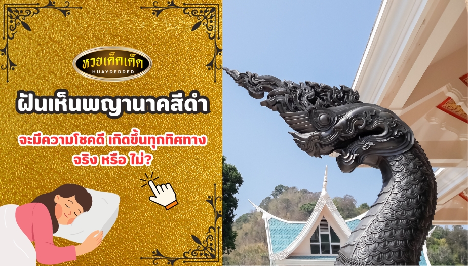 ฝันเห็นพญานาคสีดำ จะมีความโชคดี เกิดขึ้นทุกทิศทาง จริงหรือไม่?