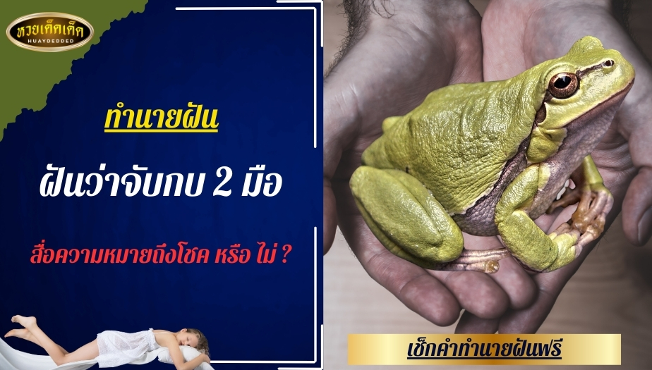 ฝันว่าจับกบ 2 มือ สื่อความหมายถึงโชค หรือ ไม่ ?