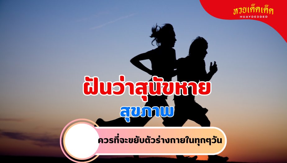 ฝันว่าสุนัขหาย ความหมายของความฝัน เรื่องสุขภาพ