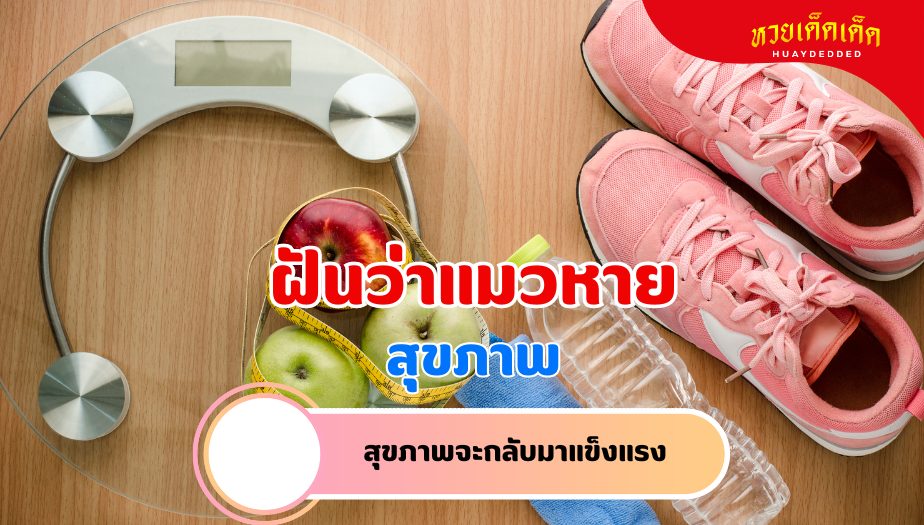 ฝันว่าแมวหาย ความหมายของความฝัน เรื่องสุขภาพ