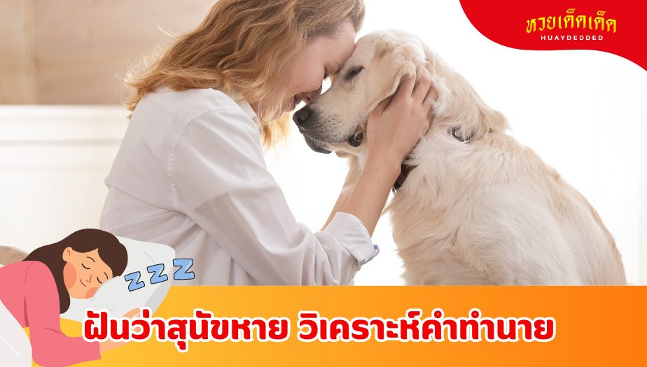 ฝันว่าสุนัขหาย ความหมายของความฝัน