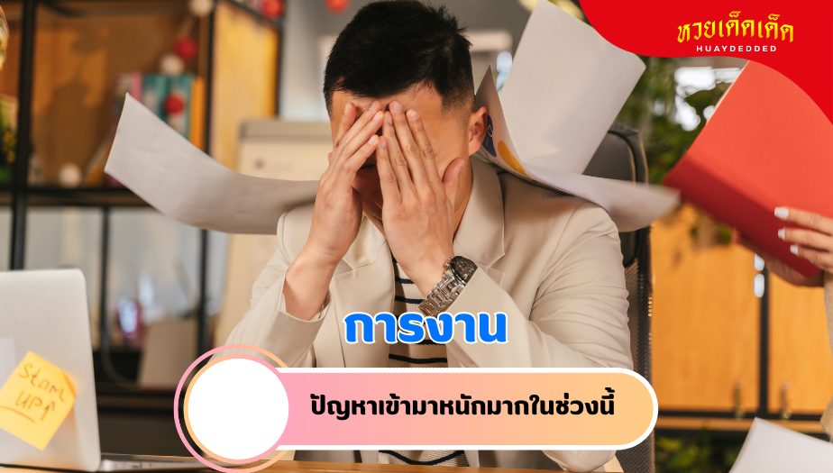 ฝันว่าหลงป่า ความหมายของความฝัน เรื่องงาน