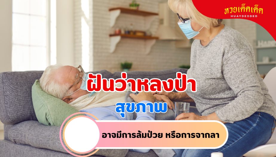 ฝันว่าหลงป่า วิเคราะห์ความฝัน เรื่องสุขภาพ