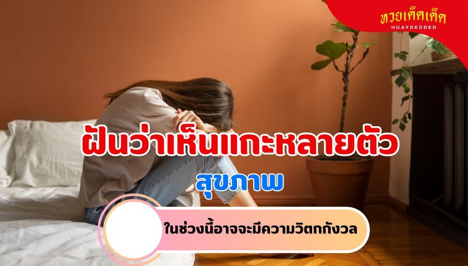 ฝันเห็นแกะหลายตัว ความหมายของความฝัน เรื่องสุขภาพ