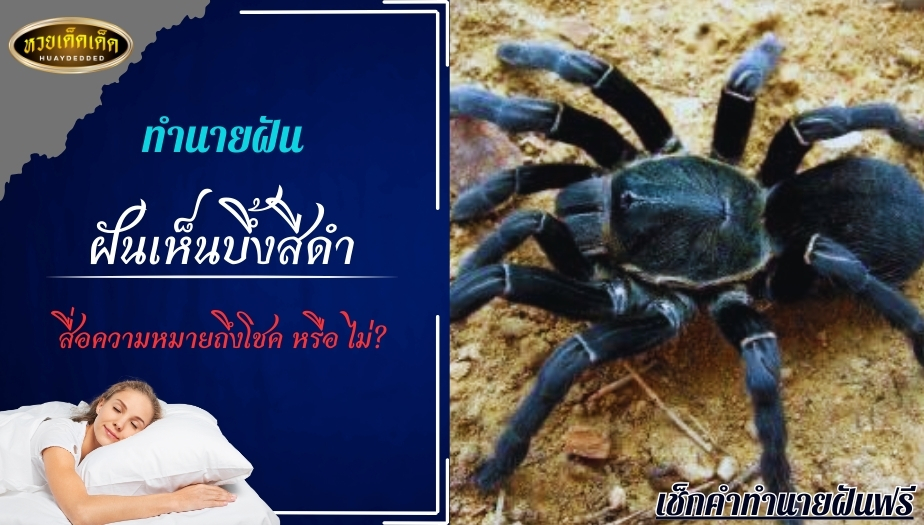 ฝันเห็นบึ้งสีดำ สื่อความหมายถึงโชค หรือ ไม่?