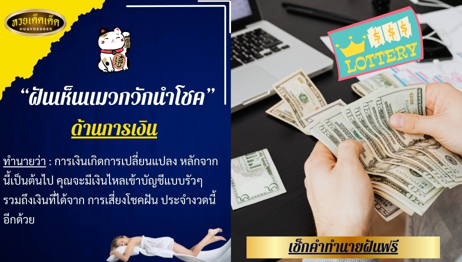 ฝันเห็นแมวกวักนำโชค คำทำนายฝัน ด้านการเงิน 