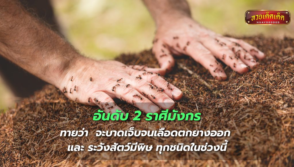 เปิดดวงสุขภาพ อันดับ 2 ราศีมังกร