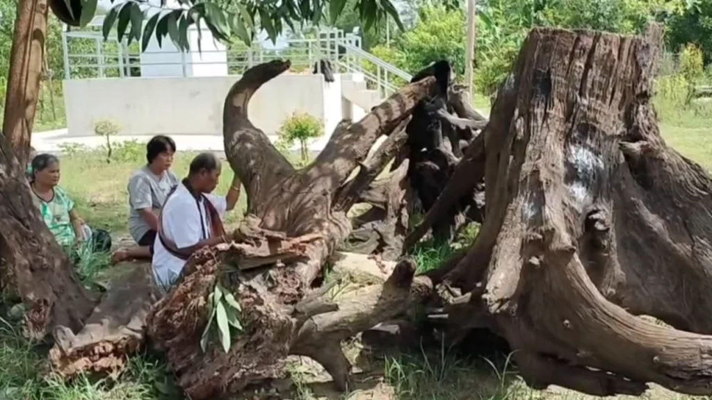 เลขเด็ดงวดนี้ แม่ตะเคียนมาเข้าฝัน ทำพิธีอันเชิญ ขันน้ำมนต์