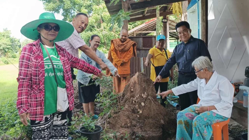 เลขเด็ดงวดนี้ เห็ดโคนขึ้นจอมปลวกในรถตู้ร้าง ส่องเลขเด็ด ป้ายทะเบียน 