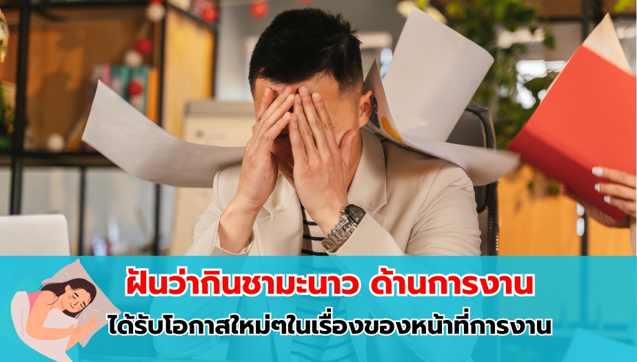 ฝันว่ากินชามะนาว ทำนายฝัน เรื่องงาน 