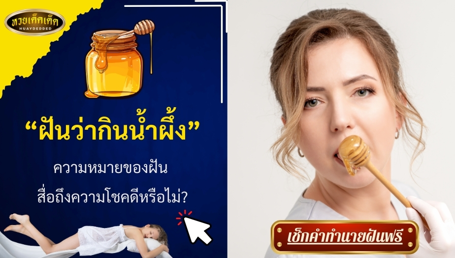 ฝันว่ากินน้ำผึ้ง ความหมายของฝัน สื่อถึงความโชคดีหรือไม่? เช็กเลย!!