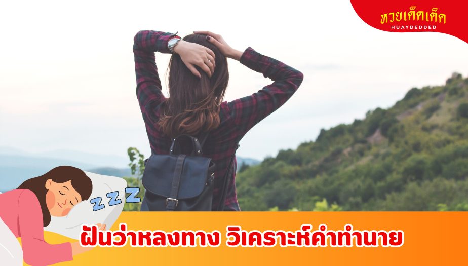 ฝันว่าหลงป่า ความหมายของความฝัน