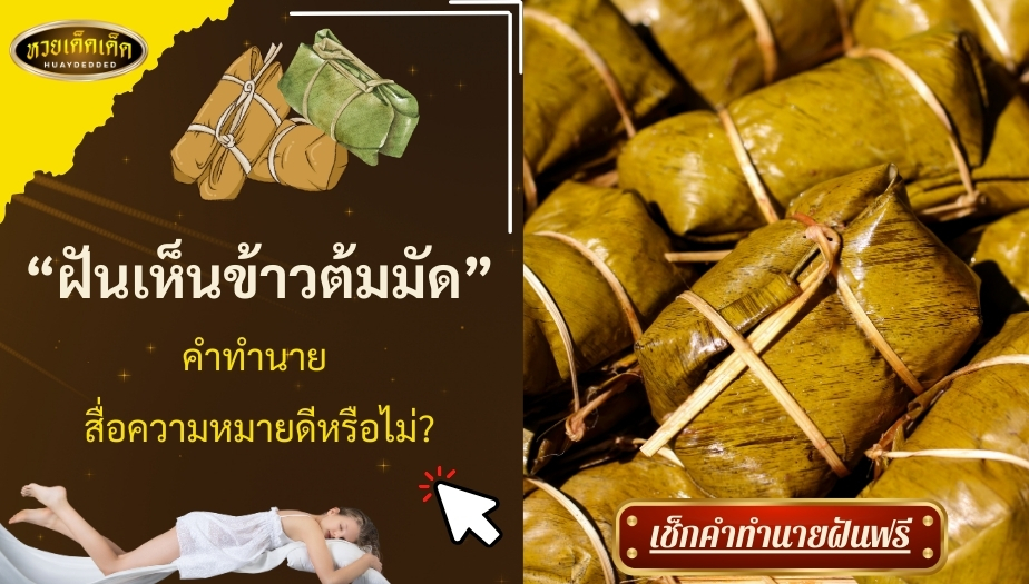 ฝันเห็นข้าวต้มมัด คำทำนาย สื่อความหมายดีหรือไม่? พร้อมตีเลขเด็ด!!