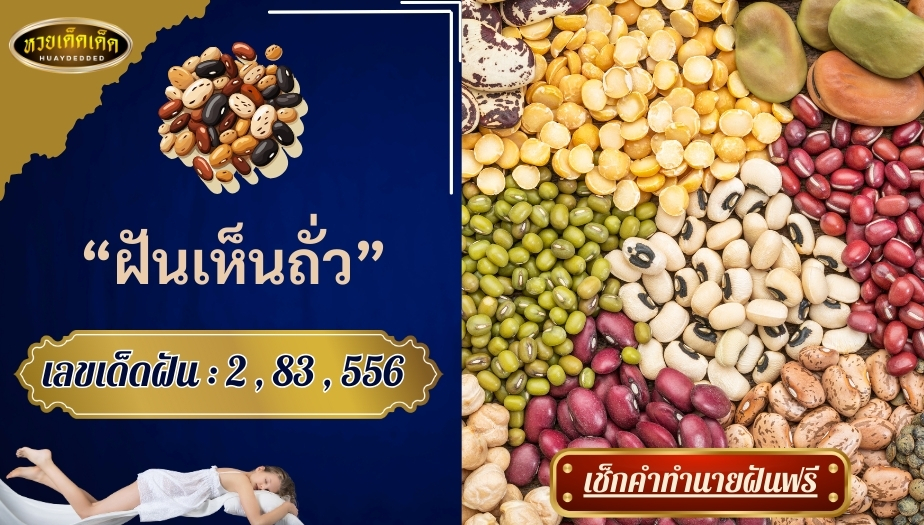 ฝันเห็นถั่ว สื่อความหมายว่าอย่างไร จะโชคดีหรือโชคร้าย?