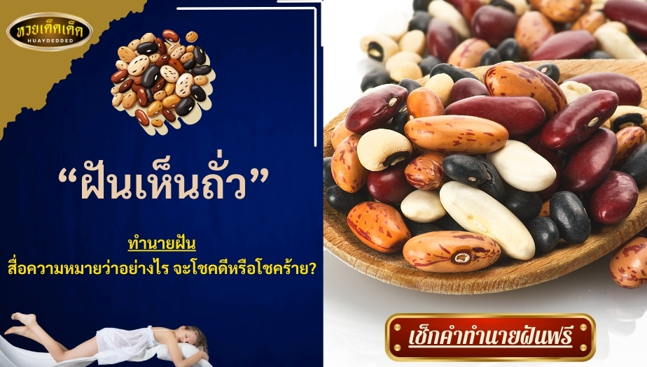 ฝันเห็นถั่ว สื่อความหมายว่าอย่างไร จะโชคดีหรือโชคร้าย?