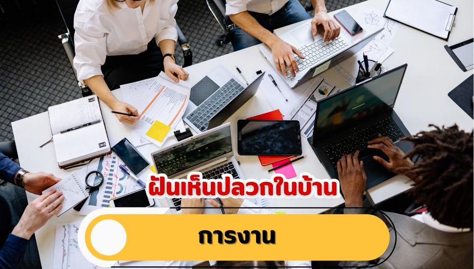 ฝันเห็นปลวกในบ้าน คำทำนายฝัน เรื่องงาน 