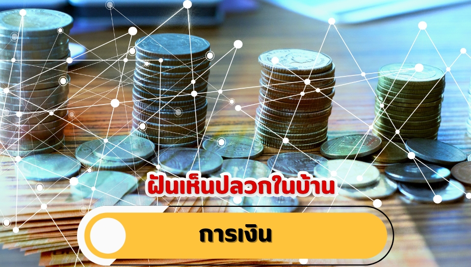 ฝันเห็นปลวกในบ้าน คำทำนายฝัน เรื่องเงิน 