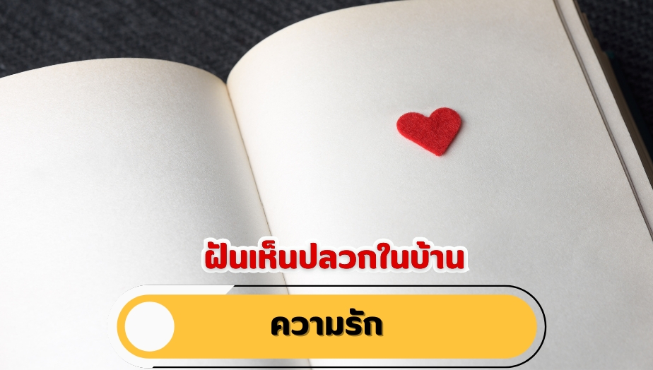 ฝันเห็นปลวกในบ้าน คำทำนายฝัน เรื่องความรัก 