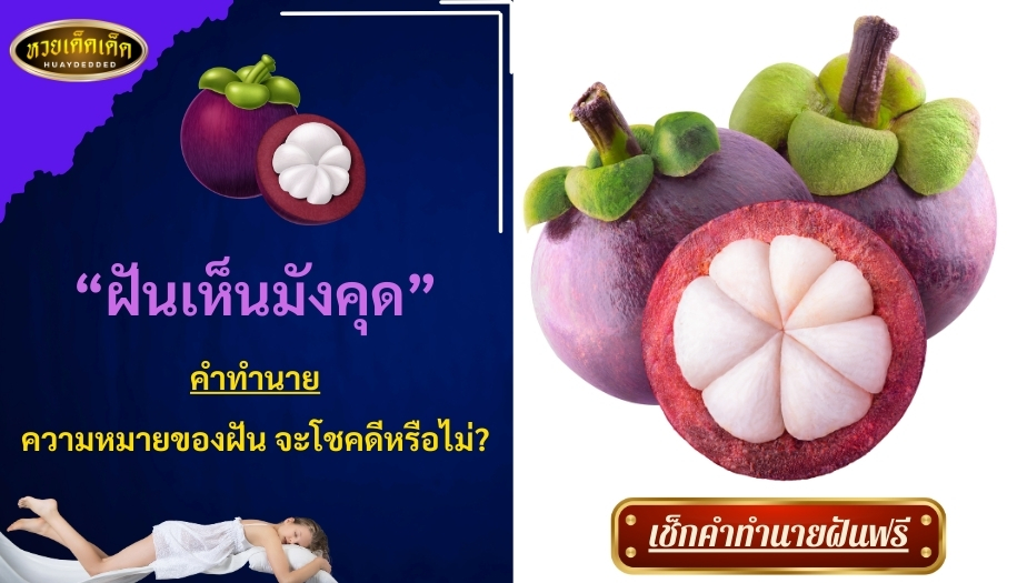 ฝันเห็นมังคุด ความหมายของฝัน จะโชคดีหรือไม่? เช็กเลย!!