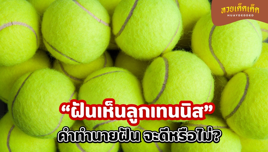 ฝันเห็นลูกเทนนิส ตรวจคำทำนายฝัน พร้อมเลขเด็ดฝัน เจาะลึกทุกประเด็น