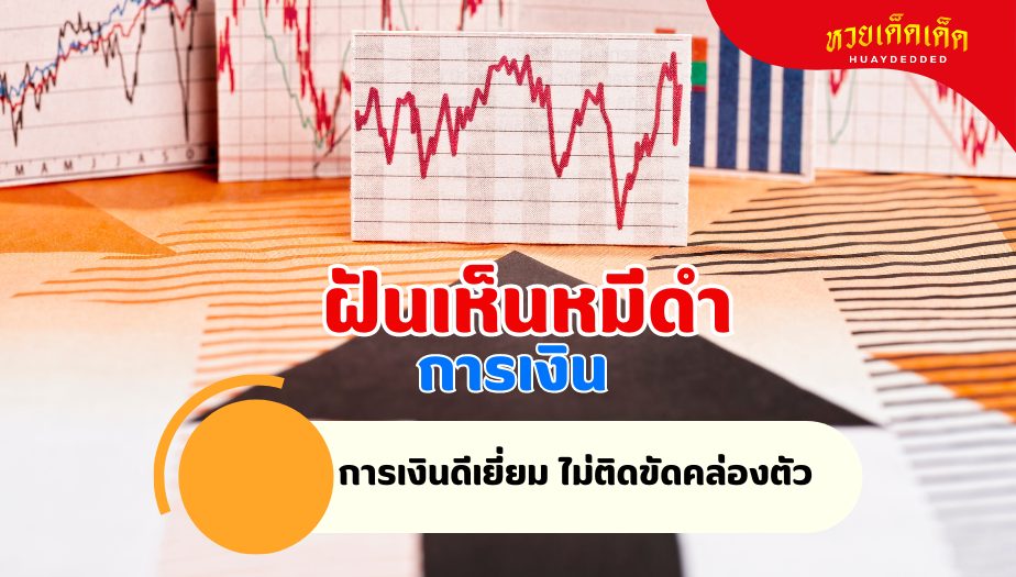 ฝันเห็นหมีดำ วิเคราะห์ความฝัน เรื่องเงิน