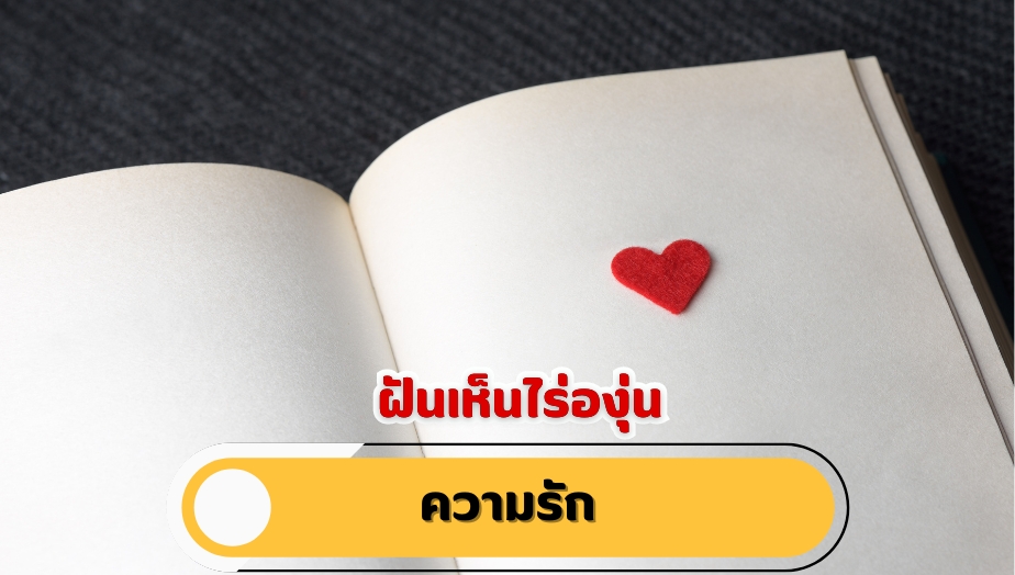 ฝันเห็นไร่องุ่น คำทำนายฝัน เรื่องความรัก 