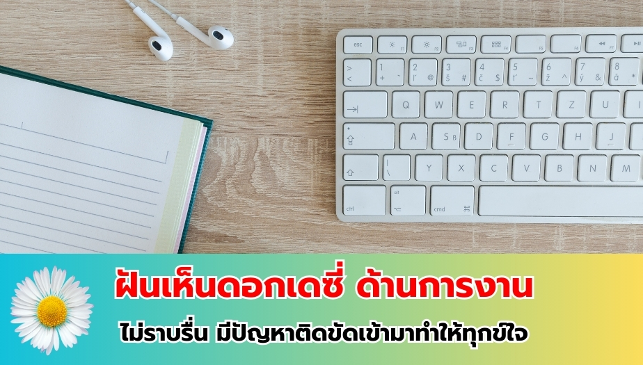 ฝันเห็นดอกเดซี่ ทำนายฝัน เรื่องงาน