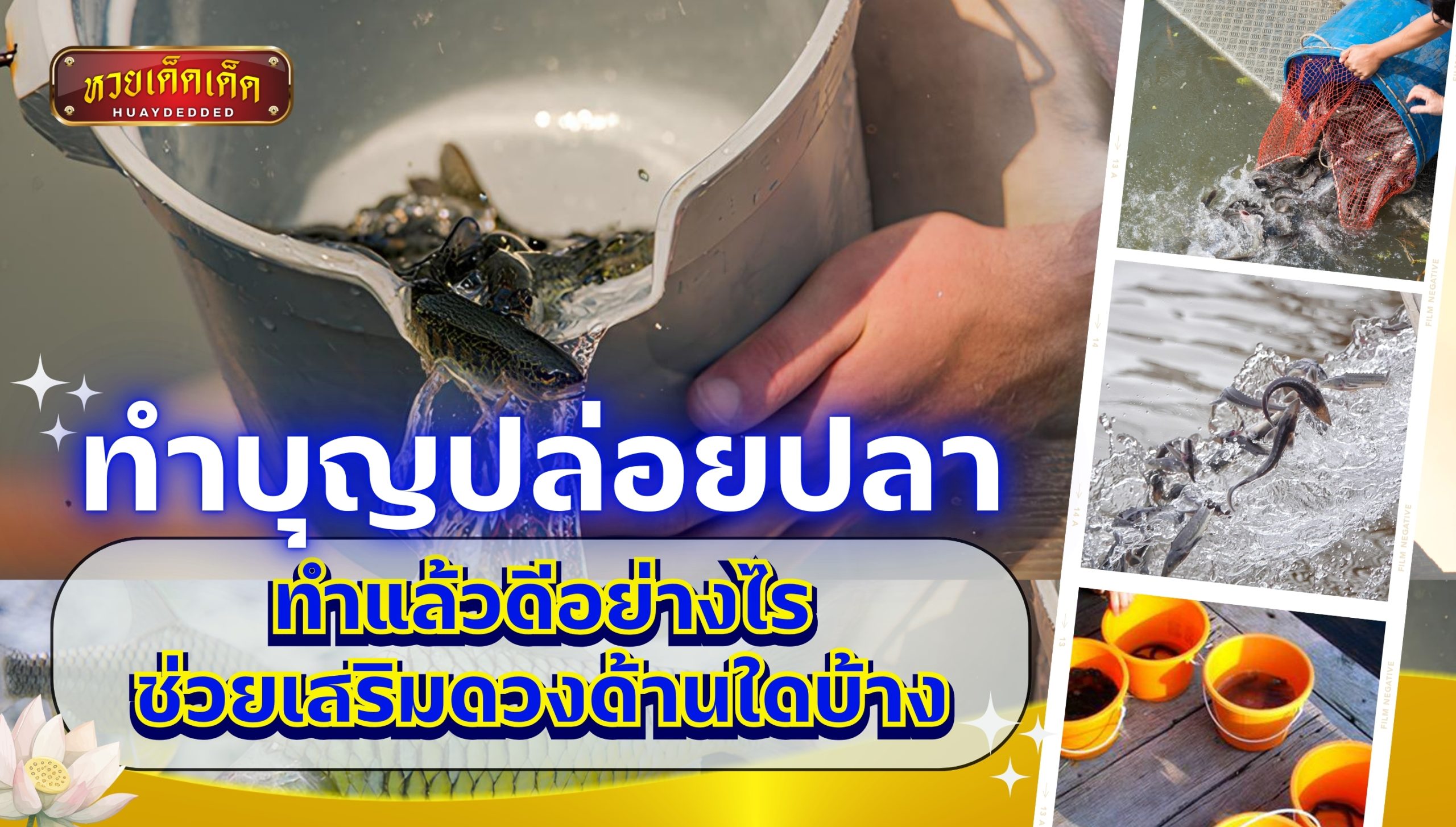 ทำบุญปล่อยปลา ทำแล้วดีอย่างไร ช่วยเสริมดวงด้านใดบ้าง เช็กด่วน!