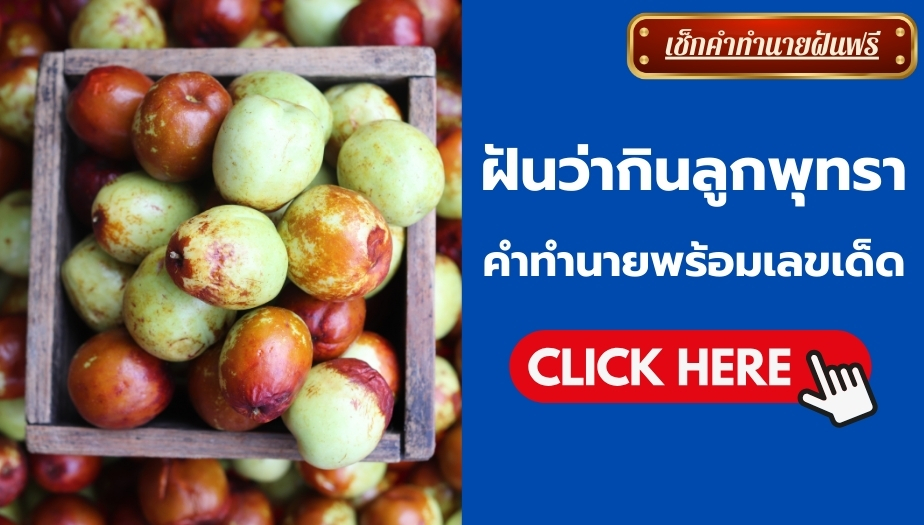 ฝันว่ากินลูกพุทรา หมายถึงโชคดีและความสำเร็จในชีวิต