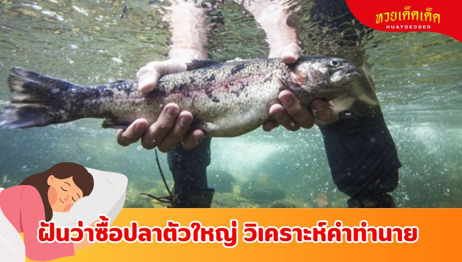 ฝันว่าซื้อปลาตัวใหญ่ คำทำนายว่าอย่างไร?