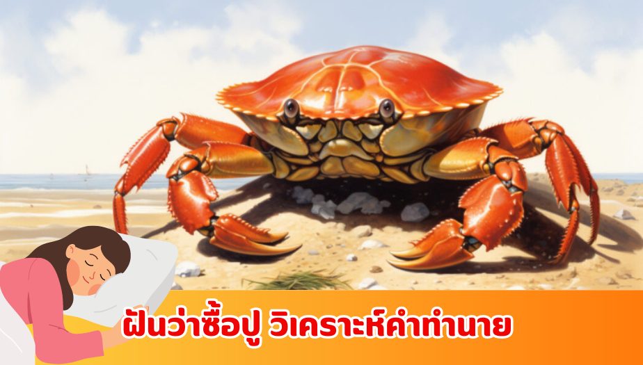 ฝันว่าซื้อปู คำทำนายว่าอย่างไร?