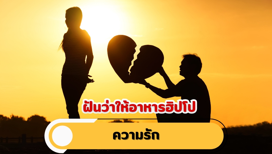 ฝันว่าให้อาหารฮิปโป คำทำนายฝัน เรื่องความรัก 