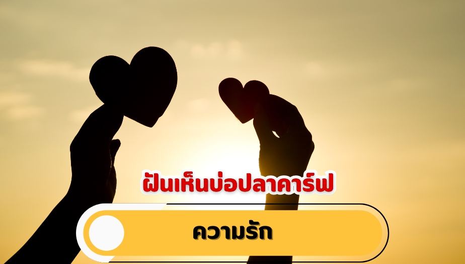 ฝันเห็นบ่อปลาคาร์ฟ คำทำนายฝัน เรื่องความรัก 