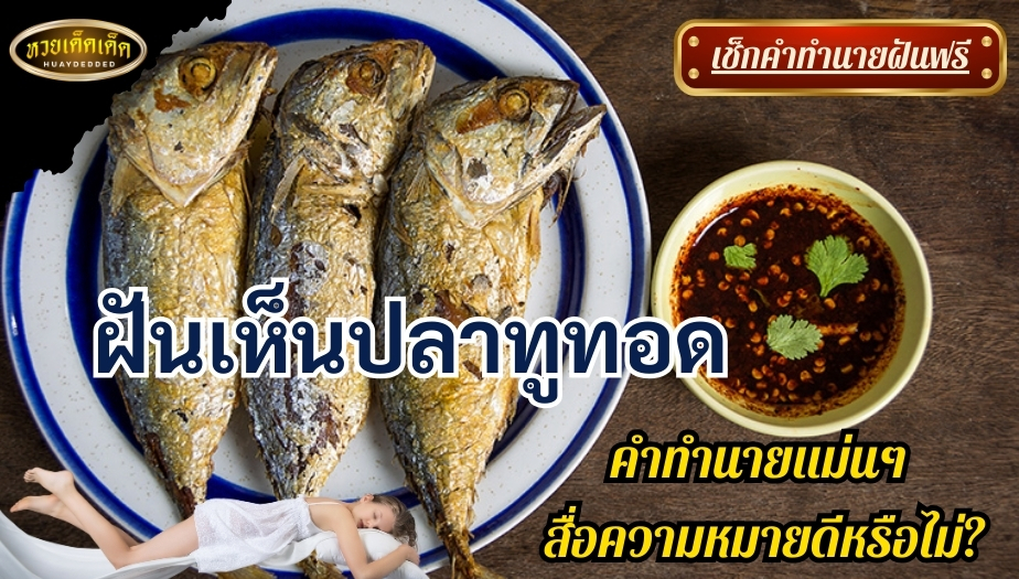 ฝันเห็นปลาทูทอด คำทำนาย สื่อความหมายดีหรือไม่? มาเช็กกัน!!