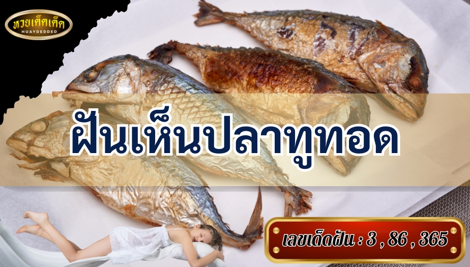 ฝันเห็นปลาทูทอด คำทำนาย สื่อความหมายดีหรือไม่? มาเช็กกัน!!