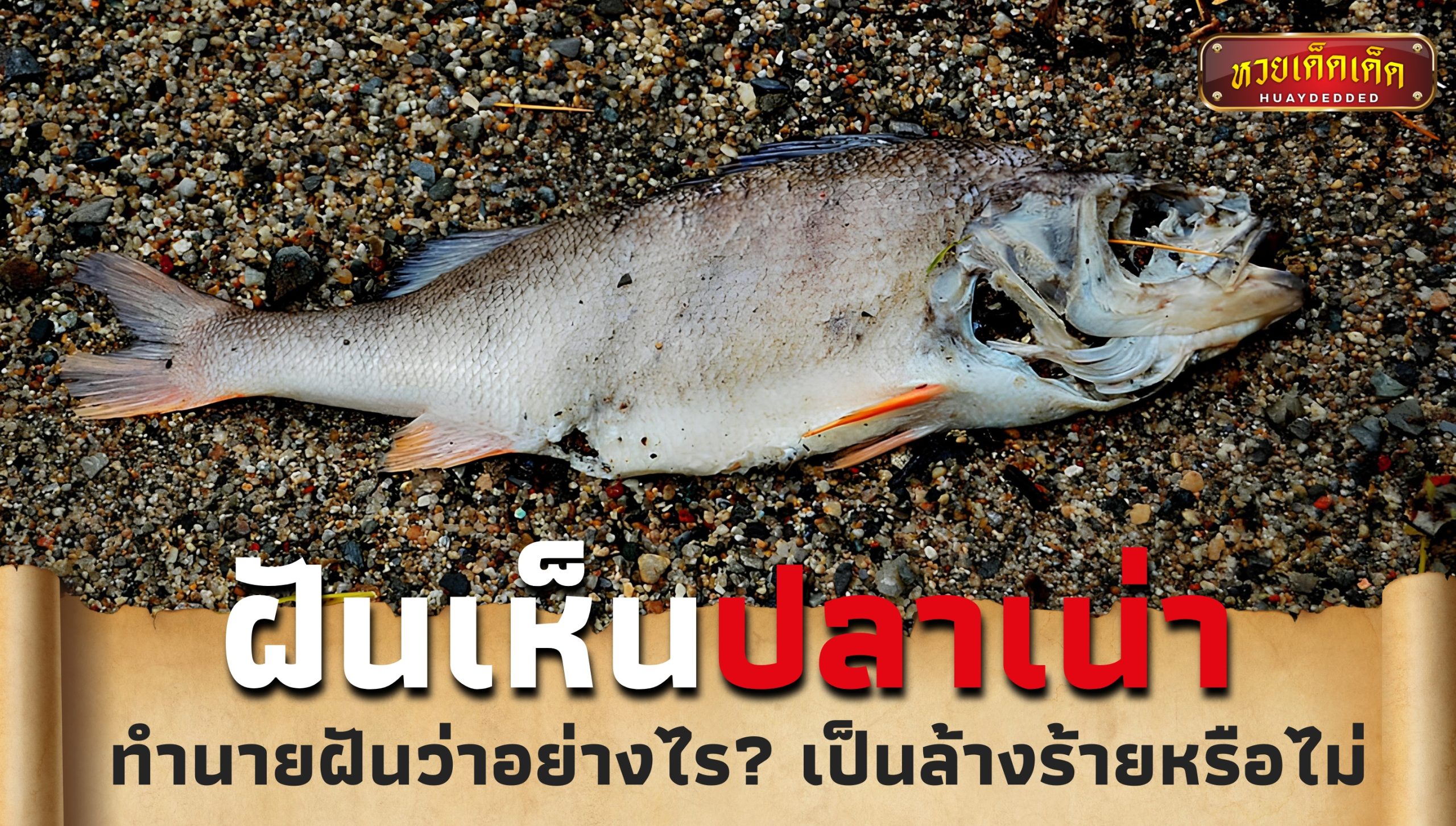 ฝันเห็นปลาเน่า ทำนายฝันว่าอย่างไร? เป็นลางร้ายหรือไม่